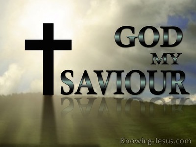 God, My Saviour   (Study In God - All I Need-8)
